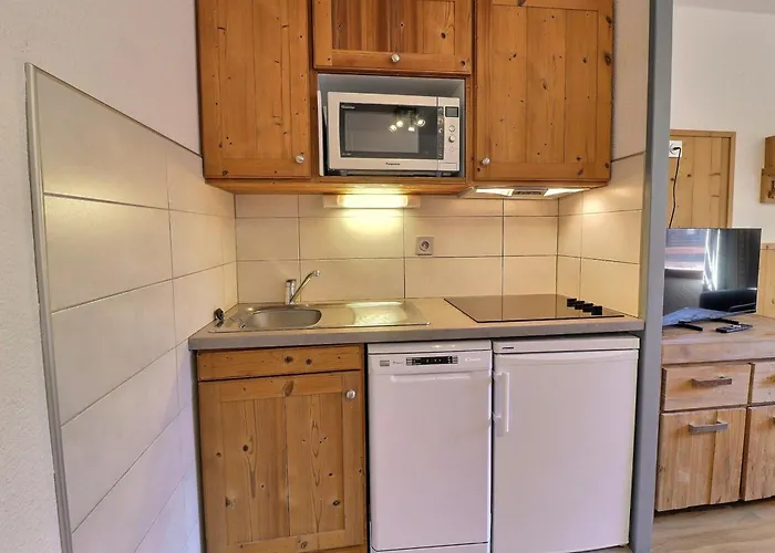 2 Pieces Confortable, Skis Aux Pieds, Proche Commerces, 4 Pers, Balcon, Tv - Fr-1-182a-27 *