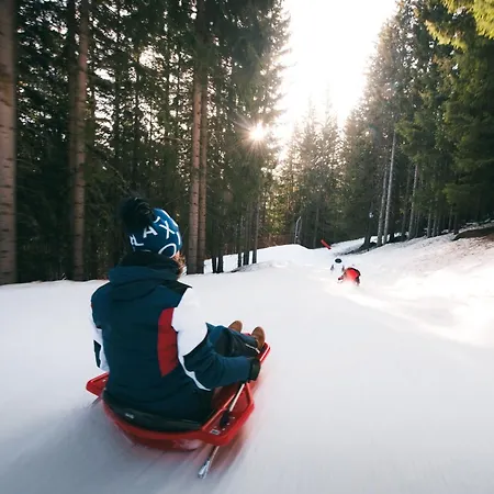 Confortable 2 Pièces, Skis Aux Pieds, Proche Commerces - Fr-1-182a-27 Appartement